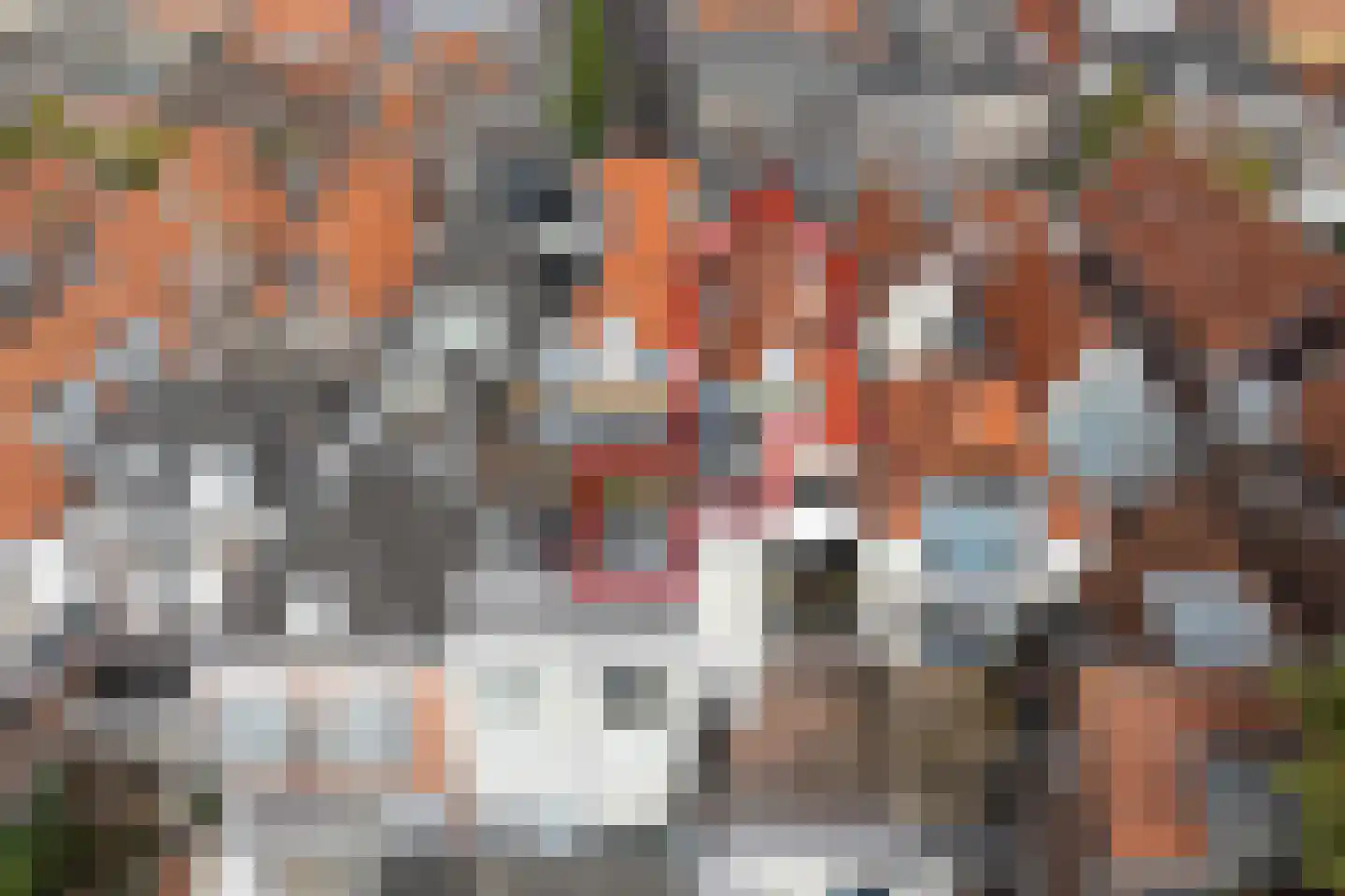 Wijnhaven 8 B Delft thumbnail 5