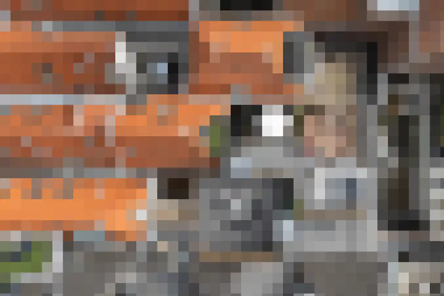 Wijnhaven 8 B Delft thumbnail 50