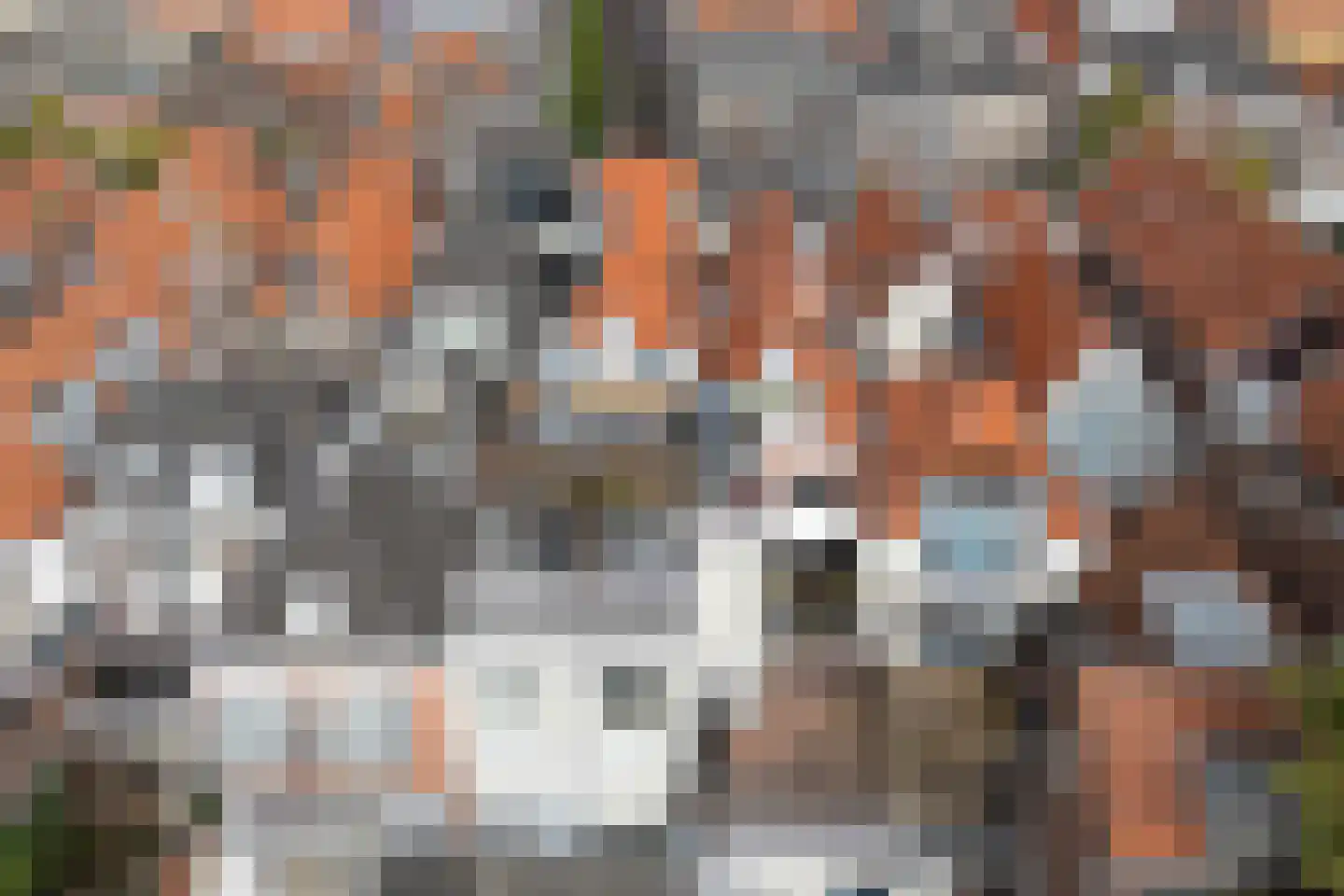 Wijnhaven 8 B Delft thumbnail 51