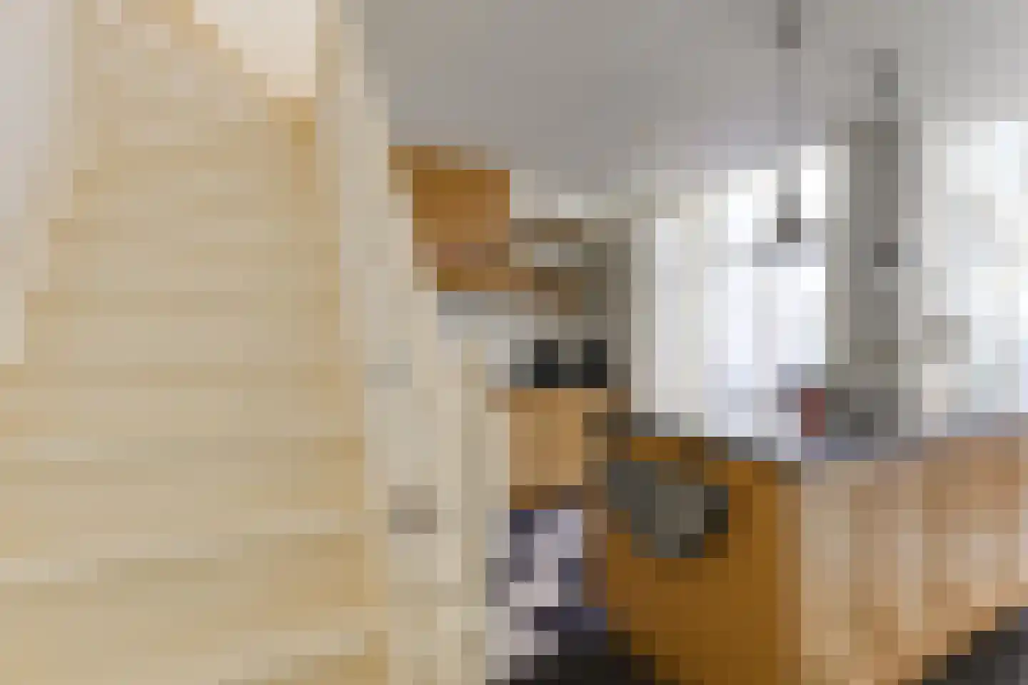 Wijnhaven 8 H Delft thumbnail 10