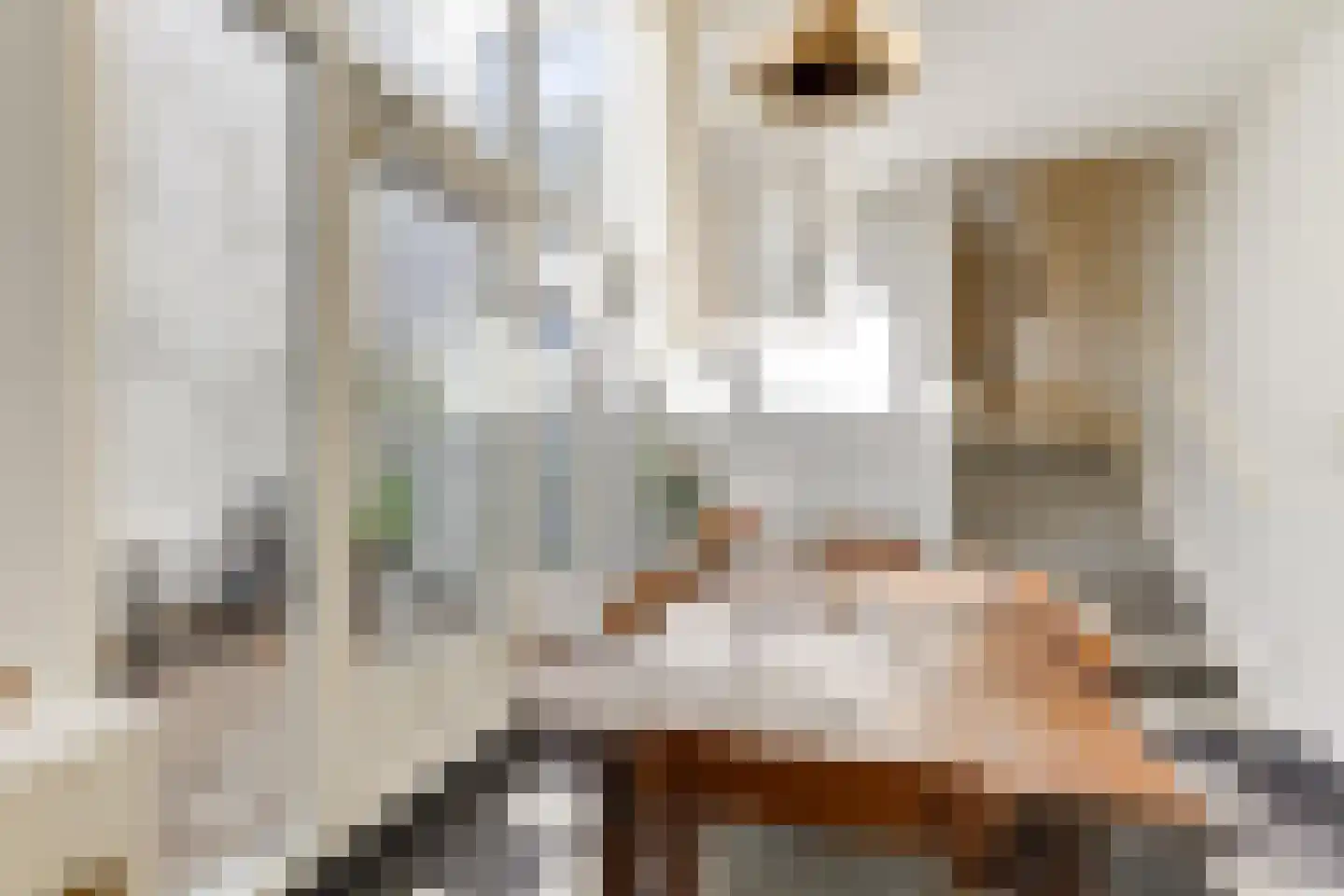 Wijnhaven 8 H Delft thumbnail 12
