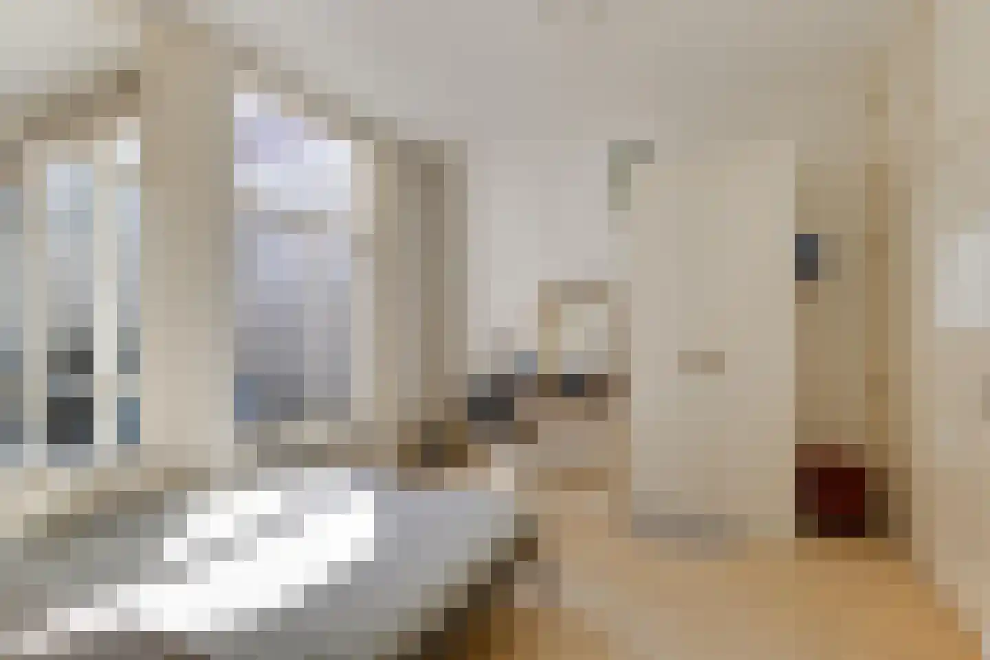 Wijnhaven 8 H Delft thumbnail 14
