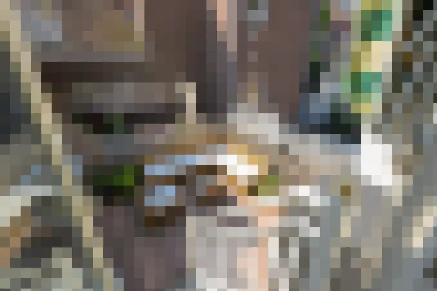 Wijnhaven 8 H Delft thumbnail 23