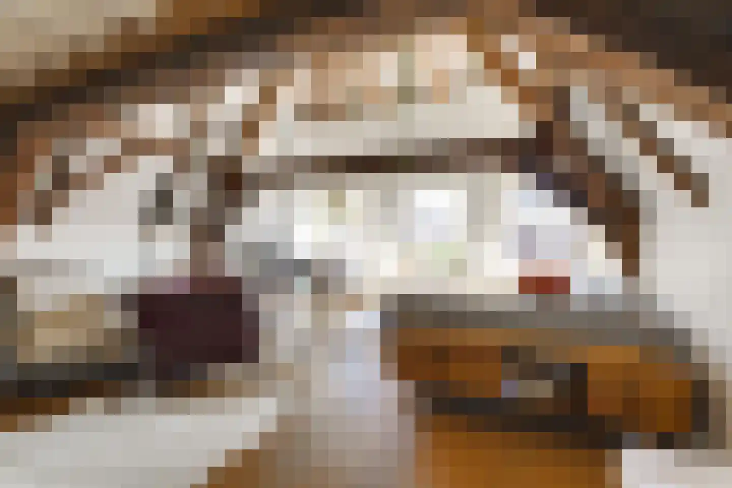 Wijnhaven 8 H Delft thumbnail 30