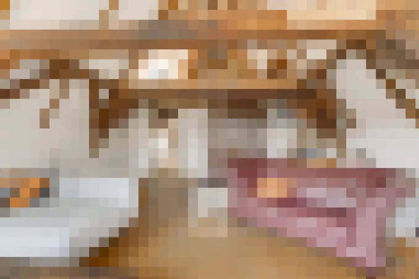 Wijnhaven 8 H Delft thumbnail 31