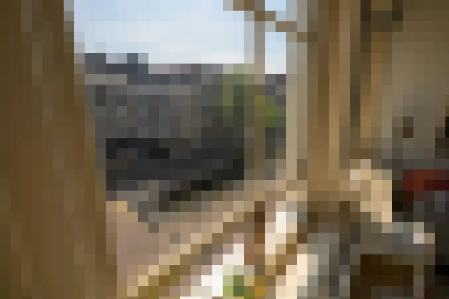 Wijnhaven 8 H Delft thumbnail 33