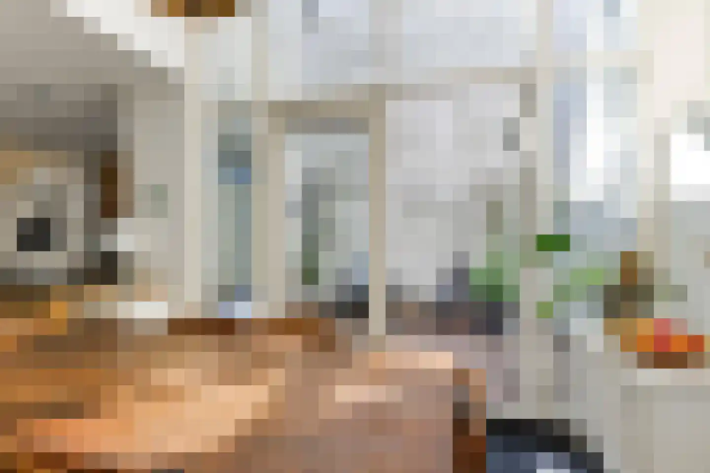 Wijnhaven 8 H Delft thumbnail 7
