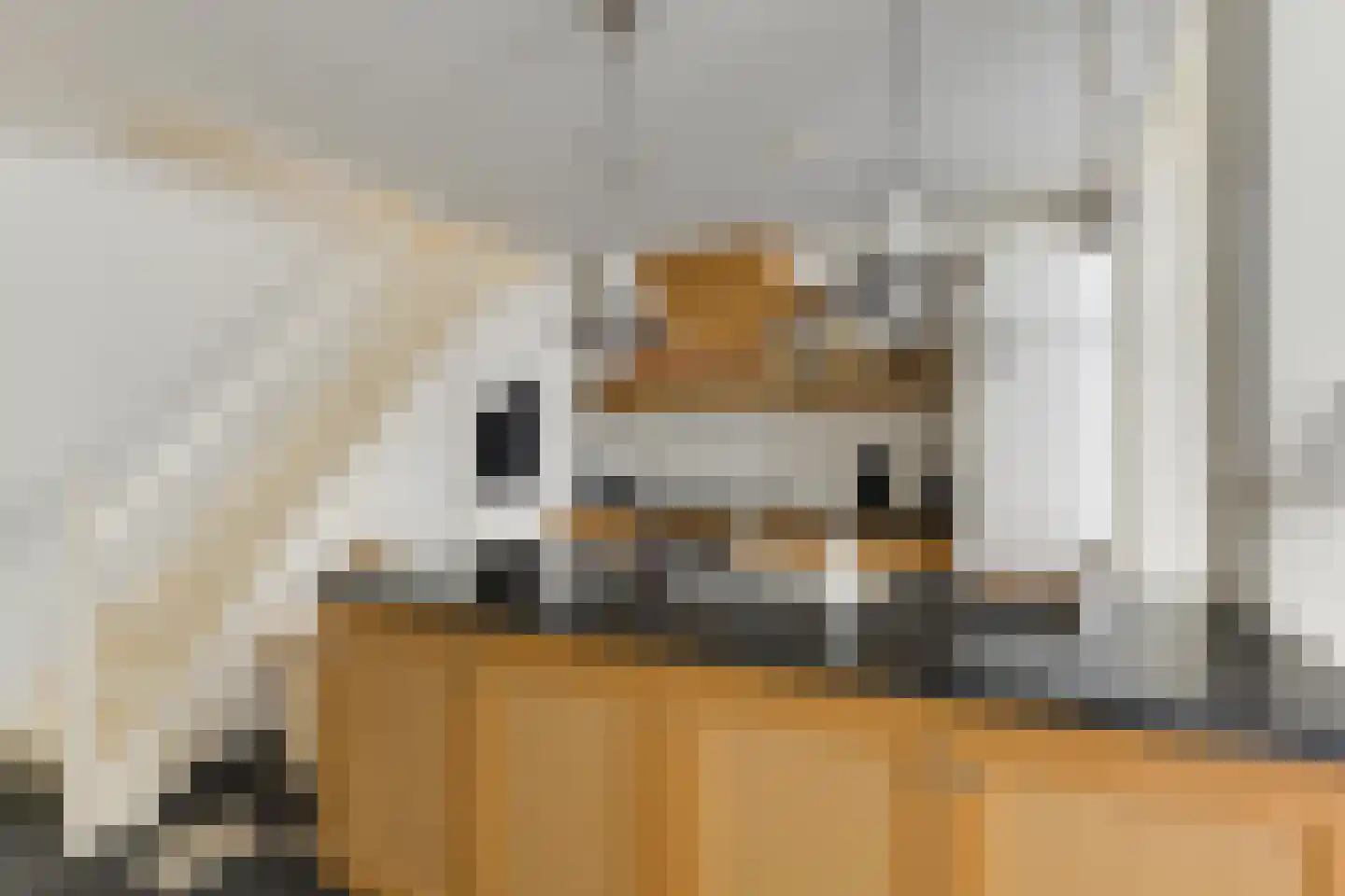 Wijnhaven 8 H Delft thumbnail 8