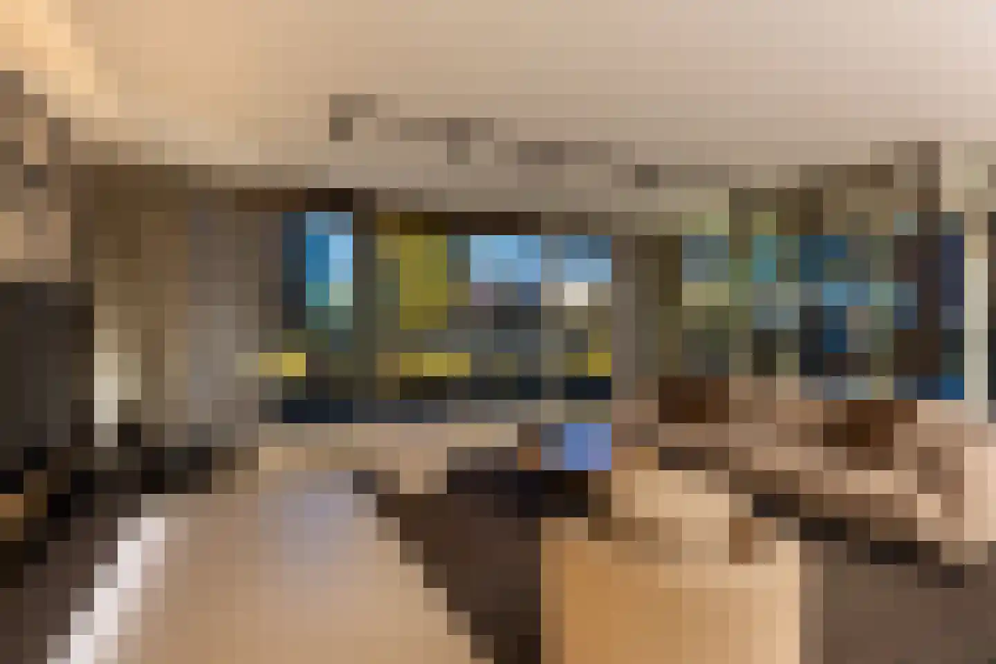 Wijnhaven 83 G Rotterdam thumbnail 8