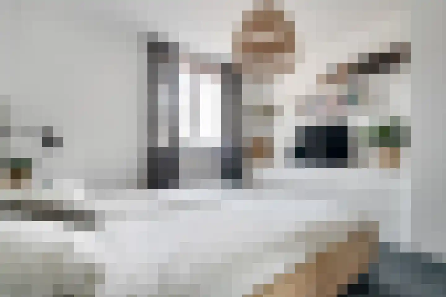 Wijnhuisstraat 1 a Delden thumbnail 28