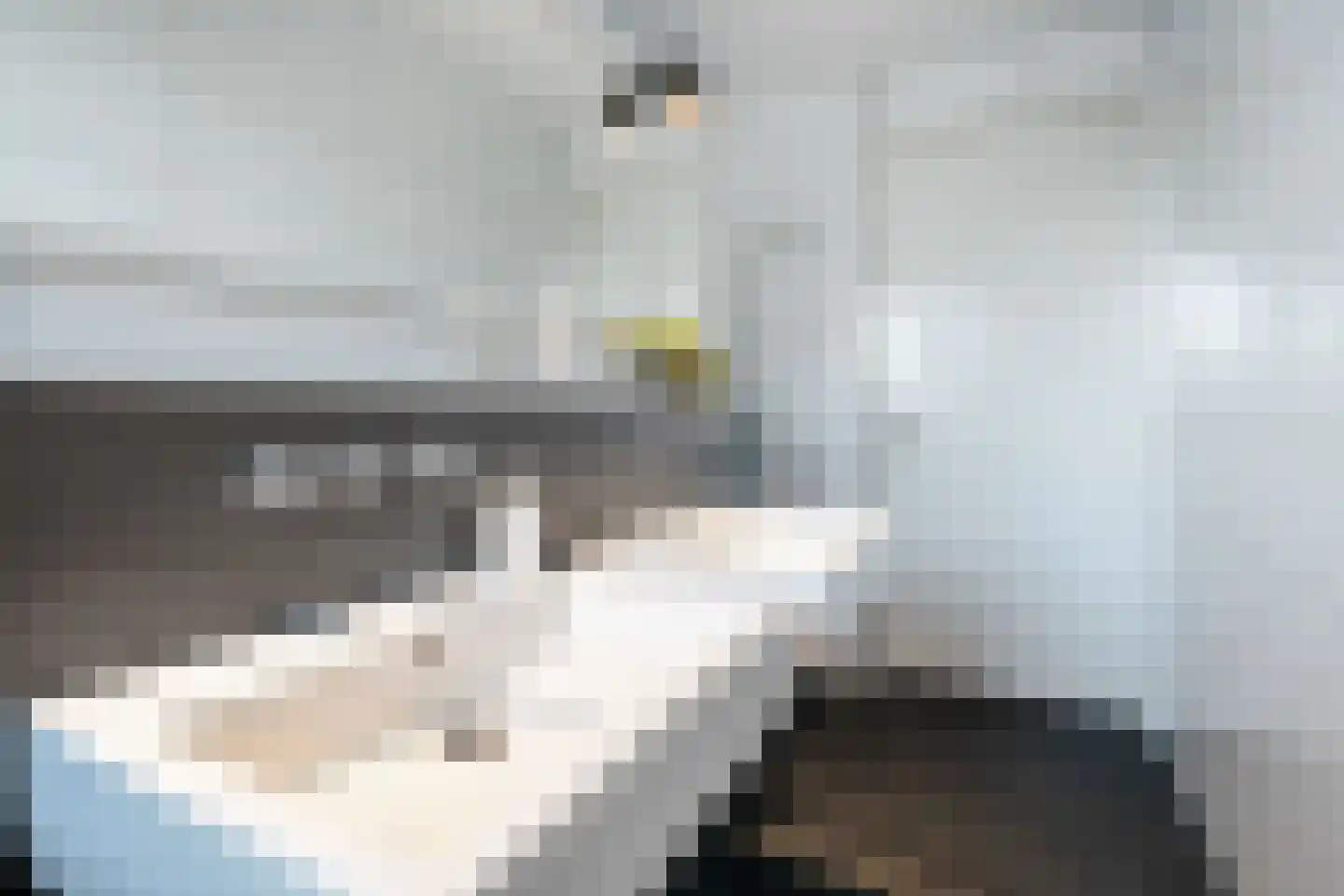 Wijnhuisstraat 1 a Delden thumbnail 31