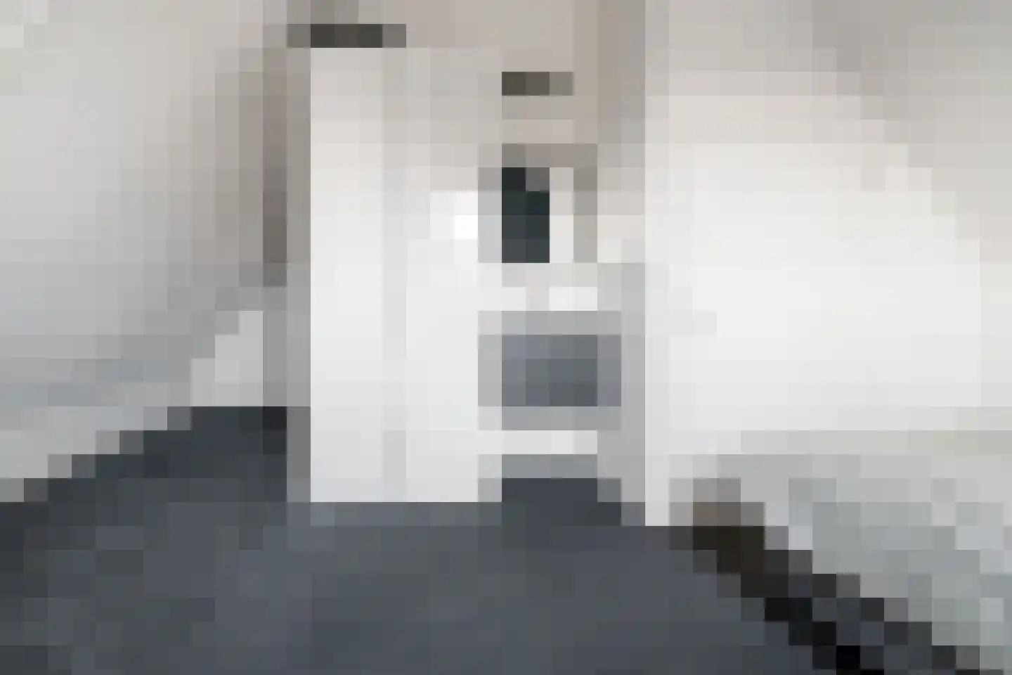 Wijnhuisstraat 1 a Delden thumbnail 38