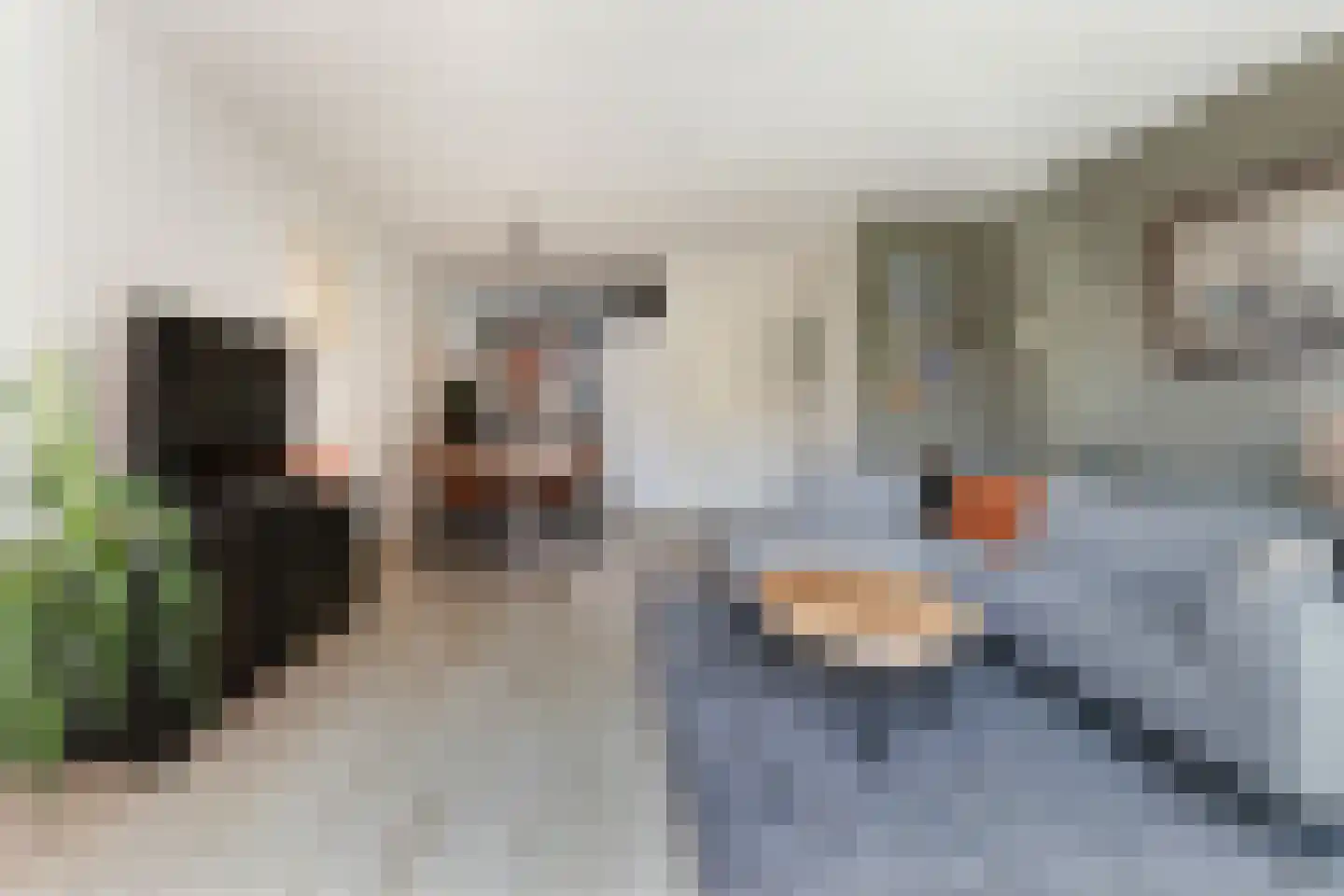 Wijnie Jabaaijlaan 18 Dordrecht thumbnail 10