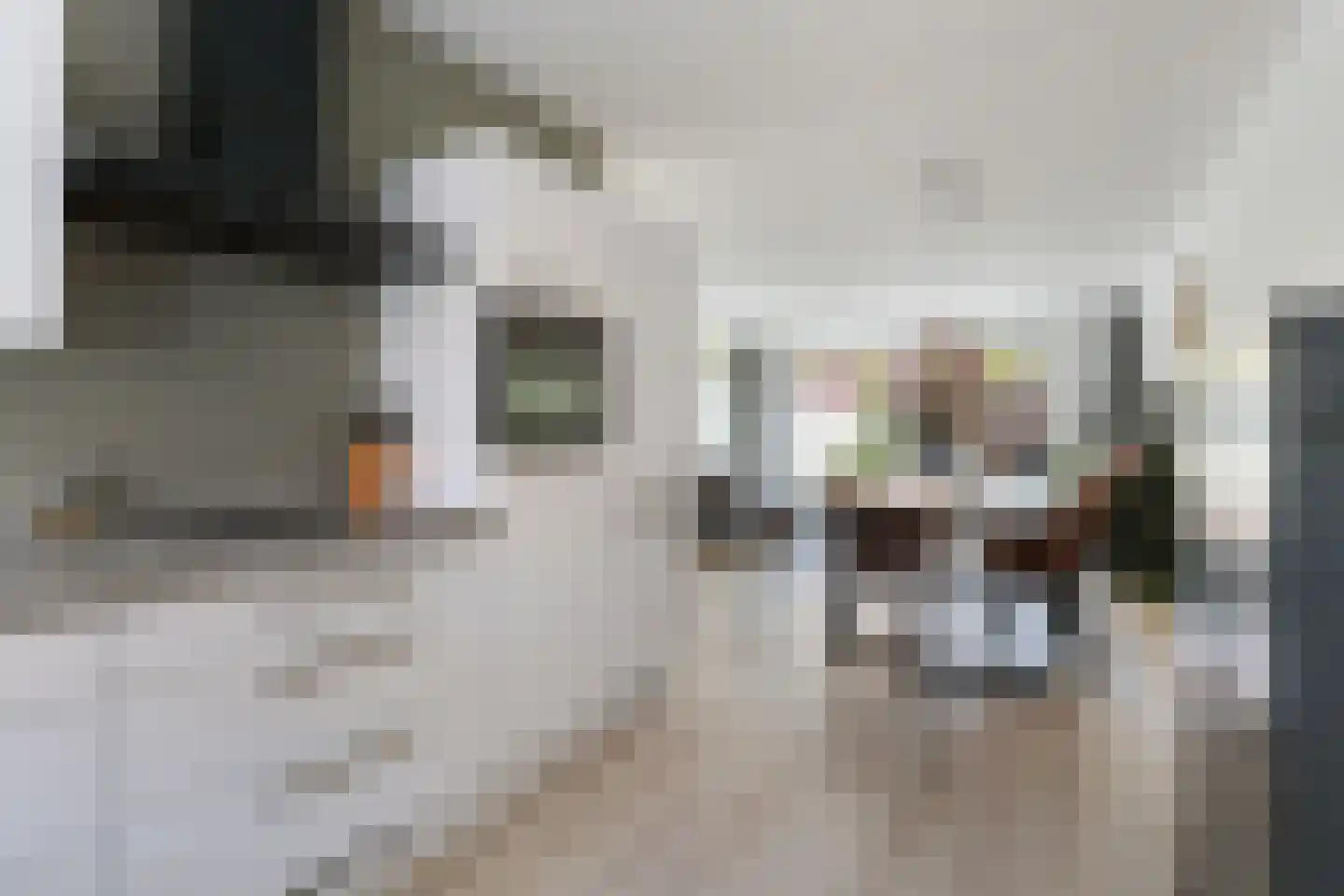 Wijnie Jabaaijlaan 18 Dordrecht thumbnail 16