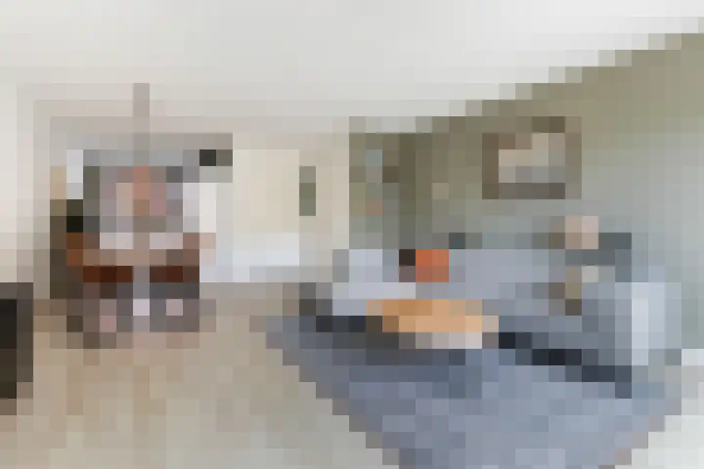 Wijnie Jabaaijlaan 18 Dordrecht thumbnail 9