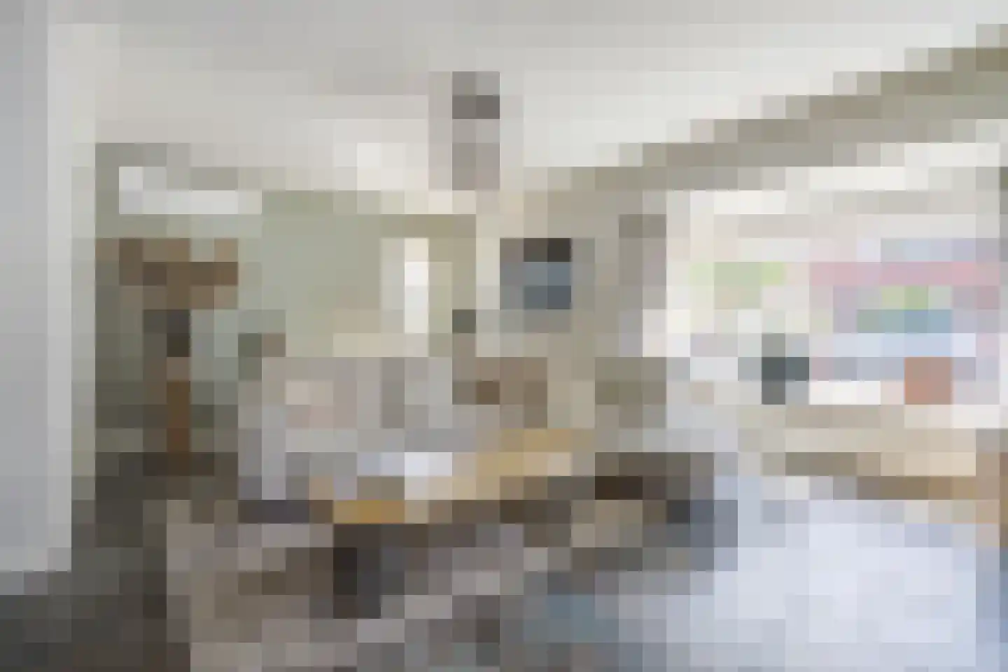 Wijningsstraat 10 St. Willebrord thumbnail 11
