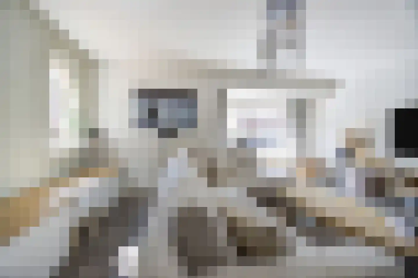 Wijningsstraat 10 St. Willebrord thumbnail 12