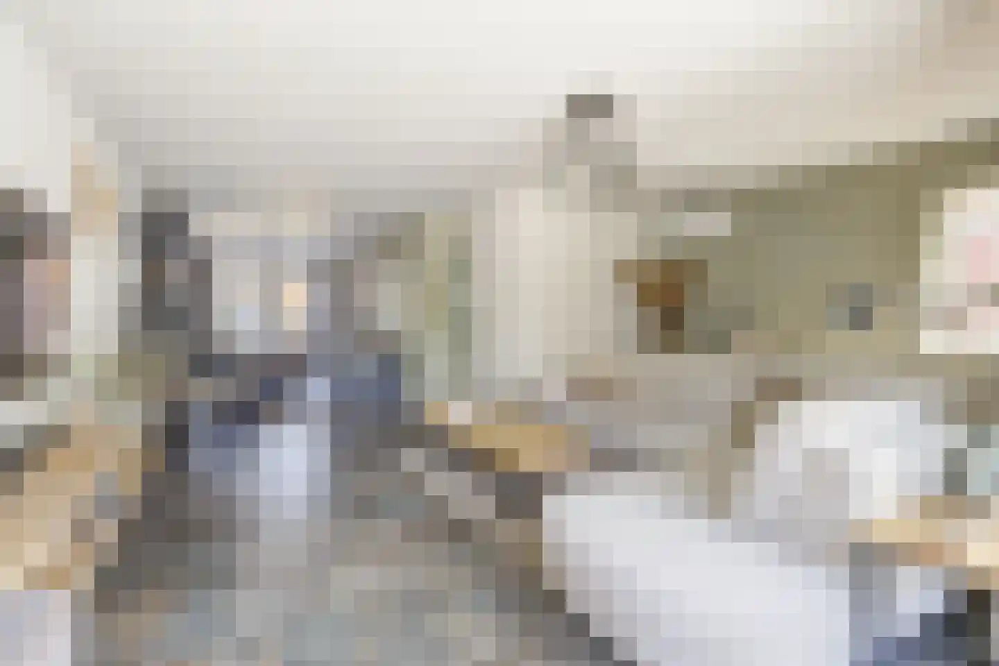 Wijningsstraat 10 St. Willebrord thumbnail 14