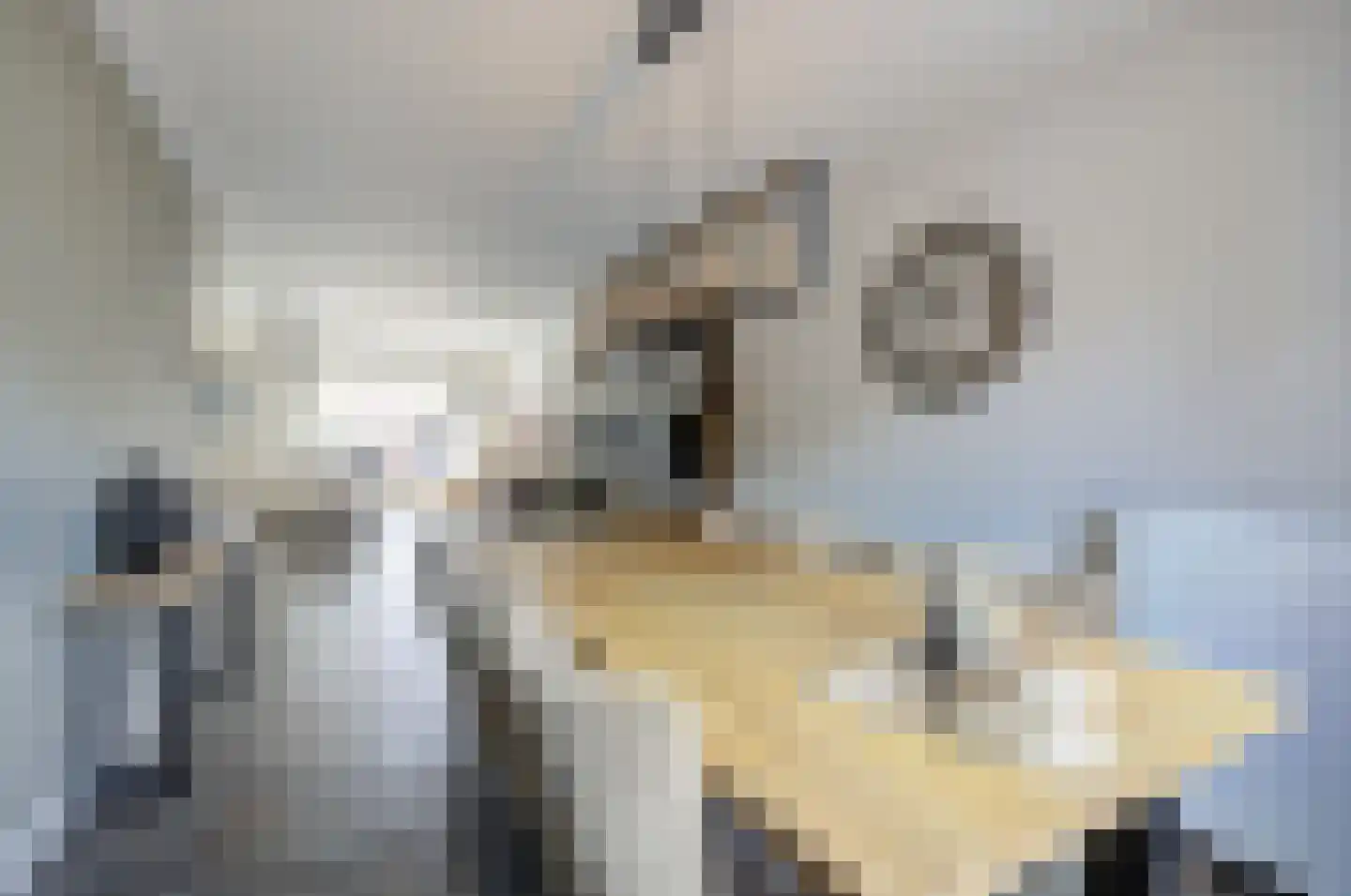 Wijningsstraat 10 St. Willebrord thumbnail 17