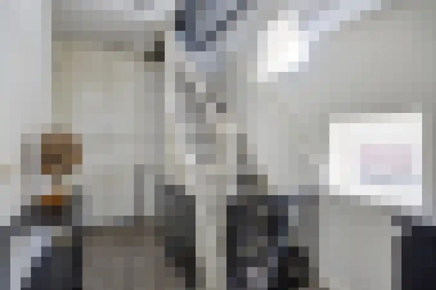 Wijningsstraat 10 St. Willebrord thumbnail 25