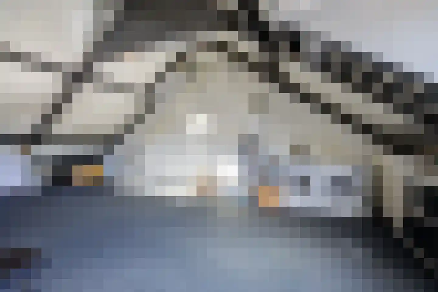 Wijningsstraat 10 St. Willebrord thumbnail 38