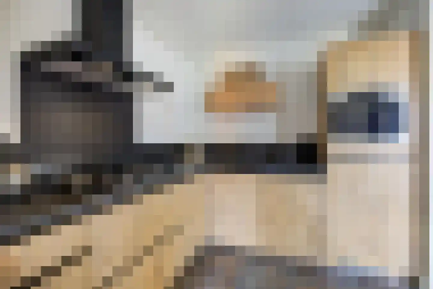 Wijningsstraat 10 St. Willebrord thumbnail 4
