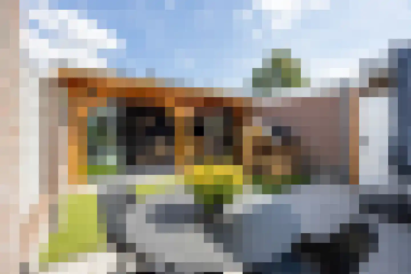 Wijningsstraat 10 St. Willebrord thumbnail 41
