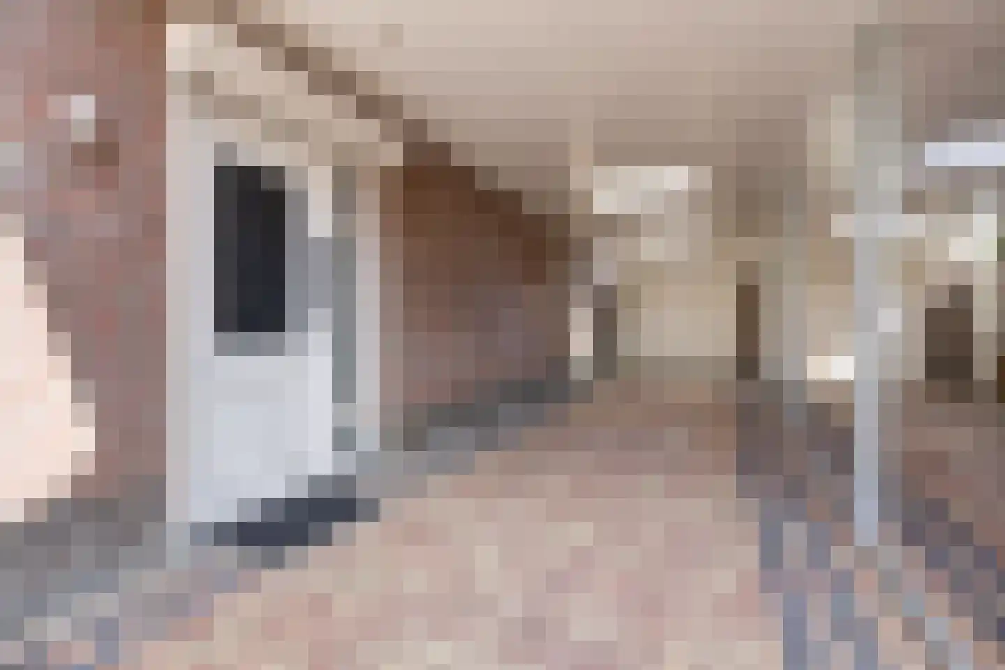 Wijningsstraat 10 St. Willebrord thumbnail 7