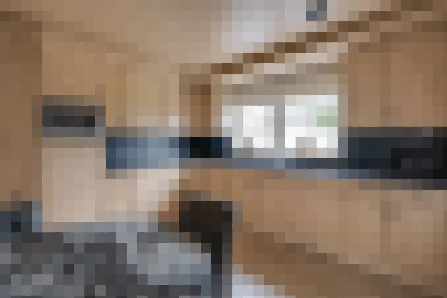 Wijningsstraat 18 St. Willebrord thumbnail 17