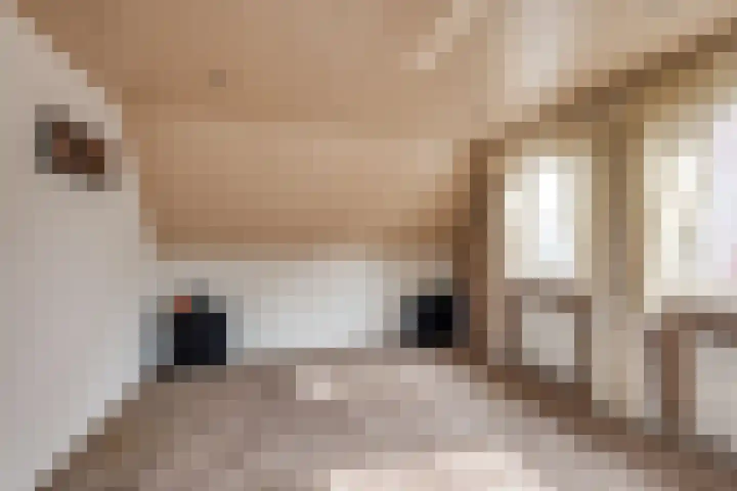 Wijningsstraat 18 St. Willebrord thumbnail 24