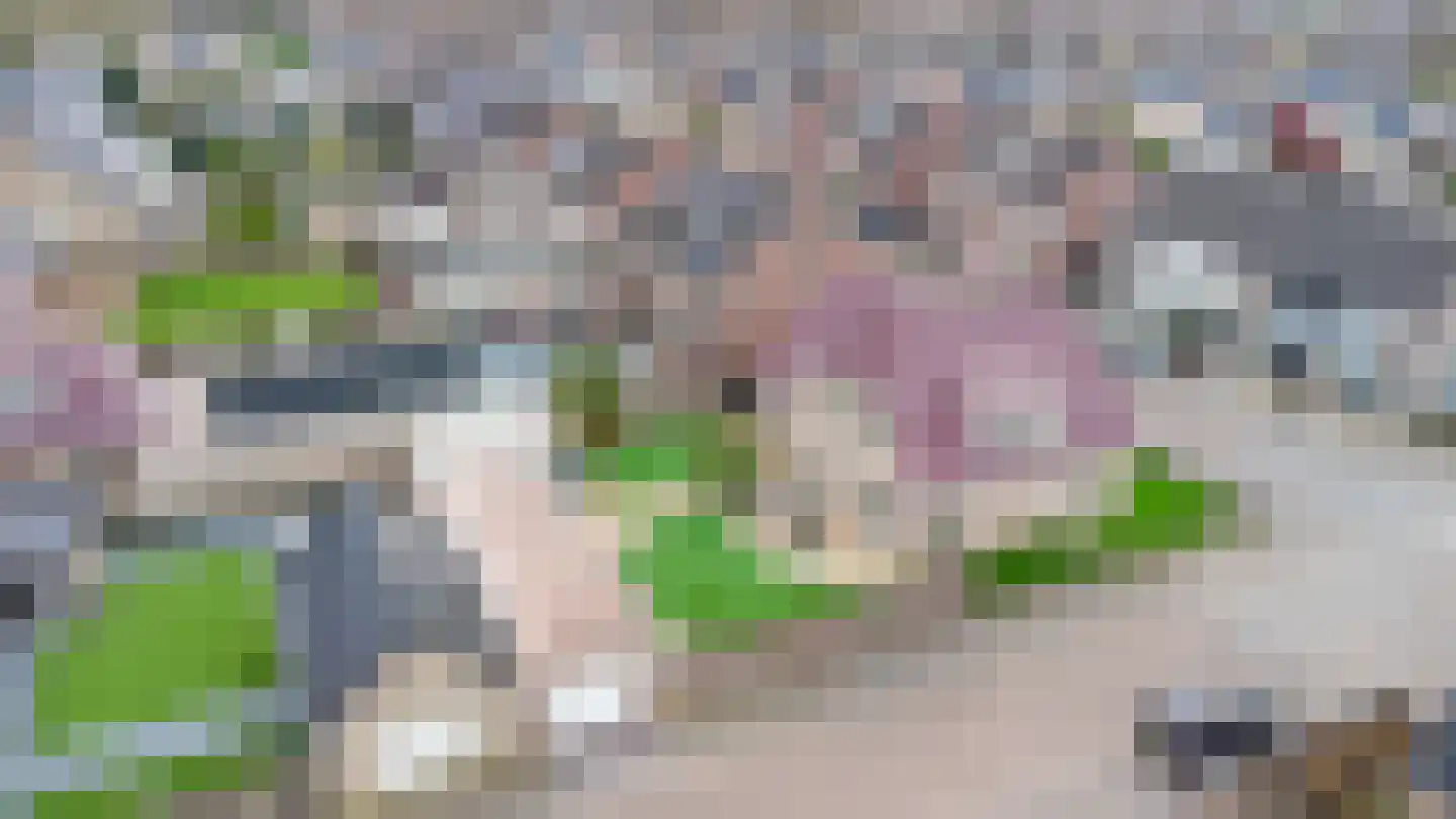 Wijningsstraat 18 St. Willebrord thumbnail 40