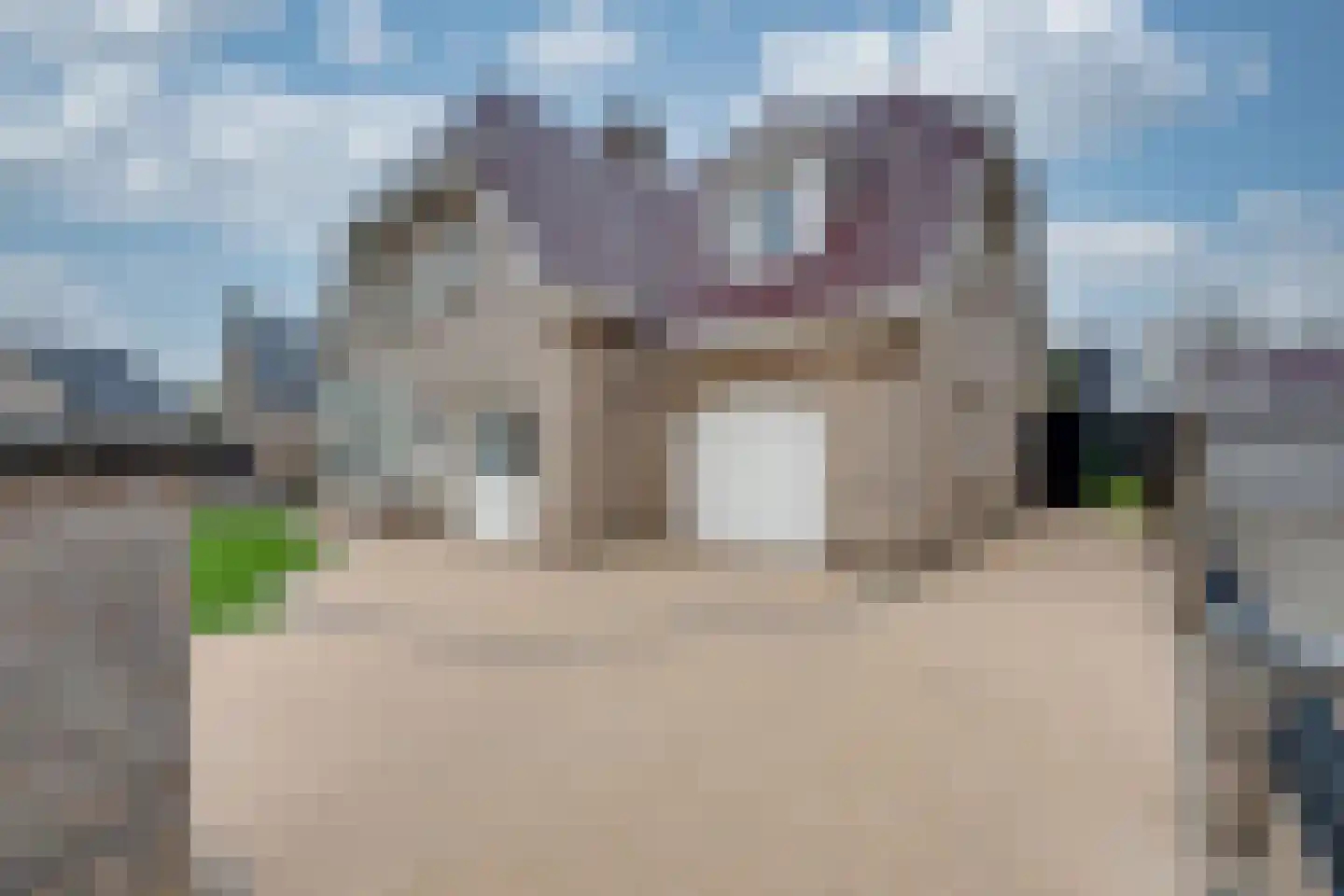 Wijningsstraat 18 St. Willebrord thumbnail 5