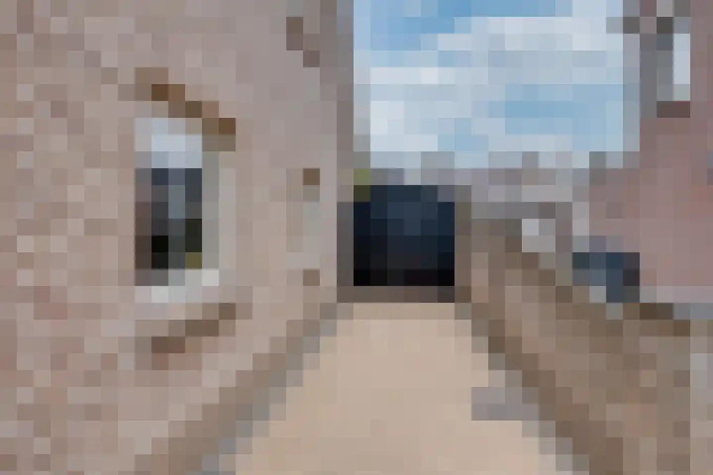 Wijningsstraat 18 St. Willebrord thumbnail 6