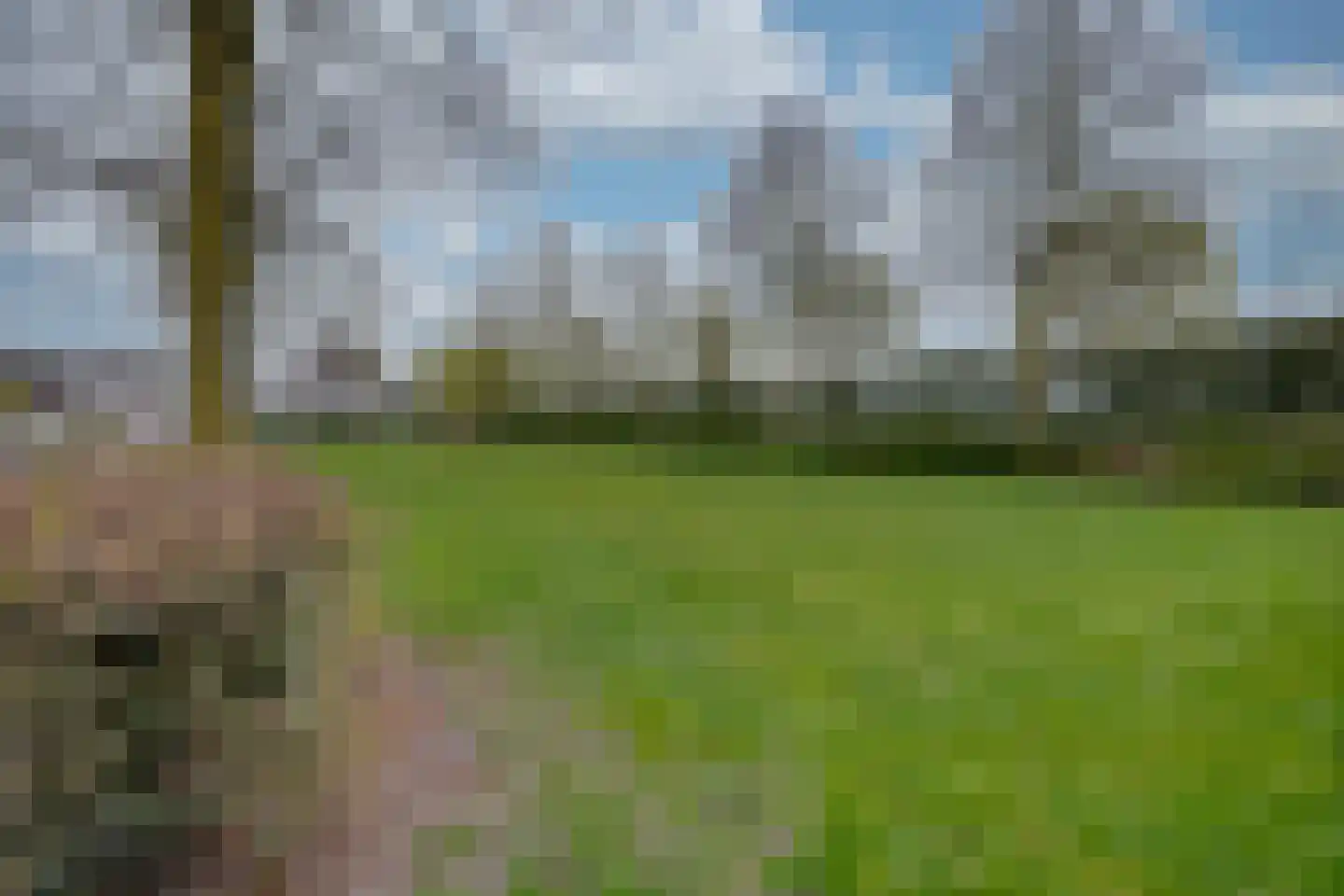 Wijningsstraat 18 St. Willebrord thumbnail 9