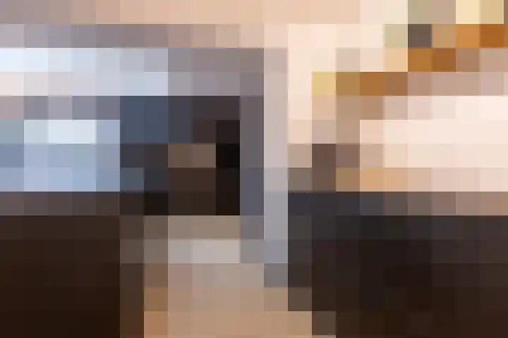 Wijningsstraat 4 Putte thumbnail 22