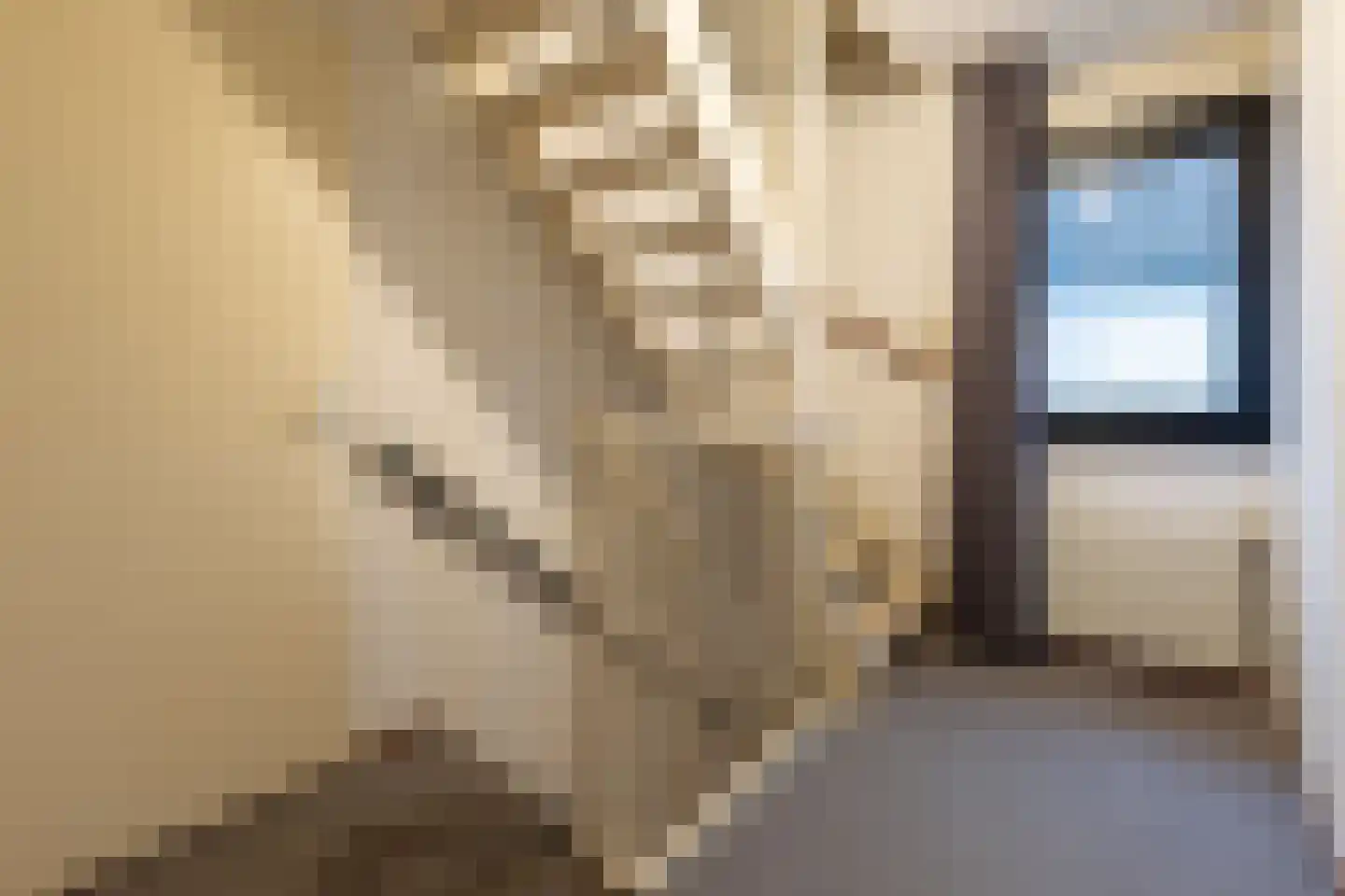 Wijningsstraat 4 Putte thumbnail 23