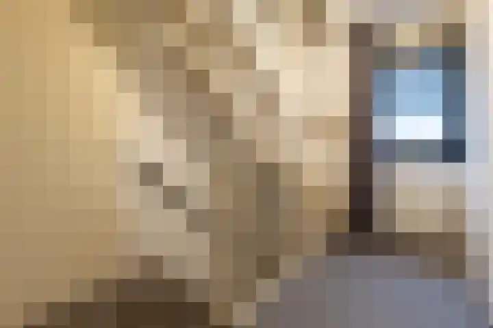 Wijningsstraat 4 Putte thumbnail 23
