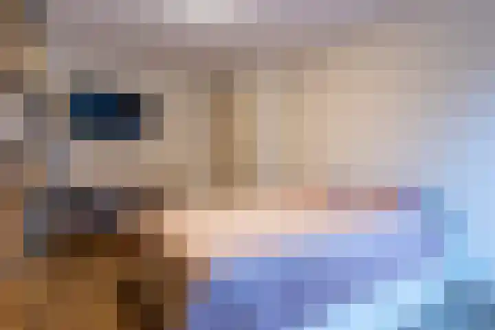 Wijningsstraat 4 Putte thumbnail 32