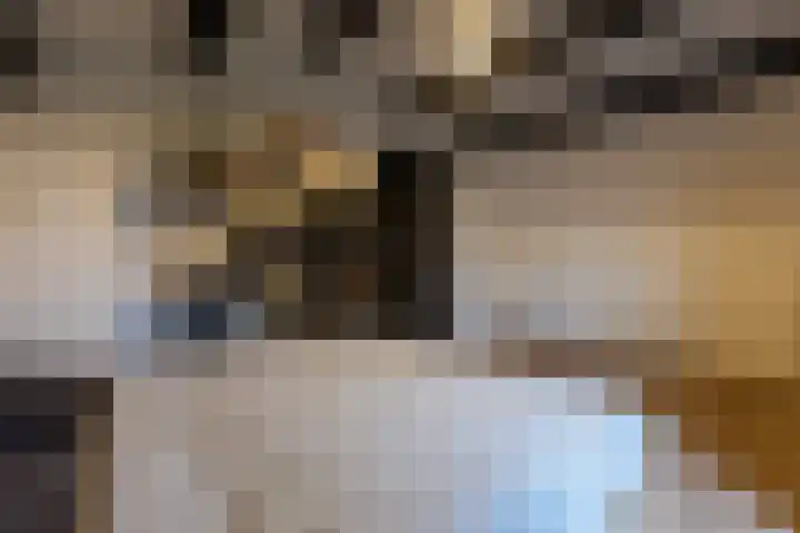 Wijningsstraat 4 Putte thumbnail 43