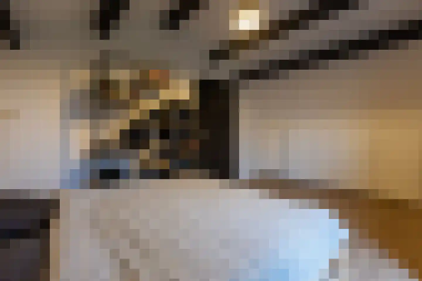 Wijningsstraat 4 Putte thumbnail 43