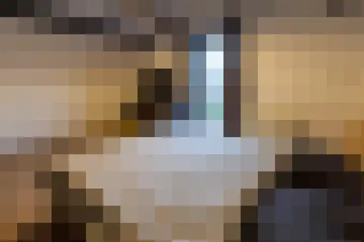 Wijningsstraat 4 Putte thumbnail 44