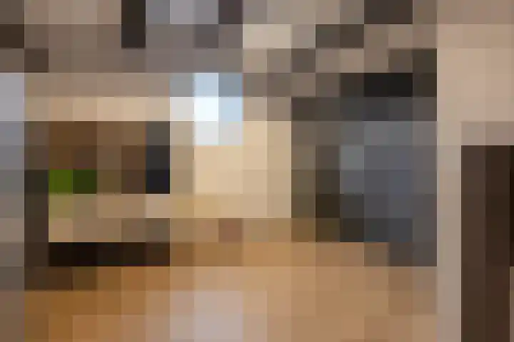 Wijningsstraat 4 Putte thumbnail 47