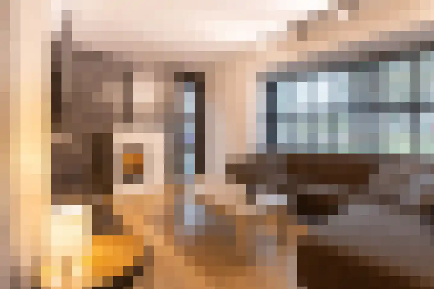 Wijningsstraat 4 Putte thumbnail 7