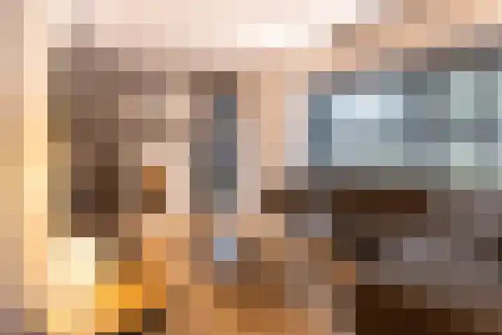 Wijningsstraat 4 Putte thumbnail 7