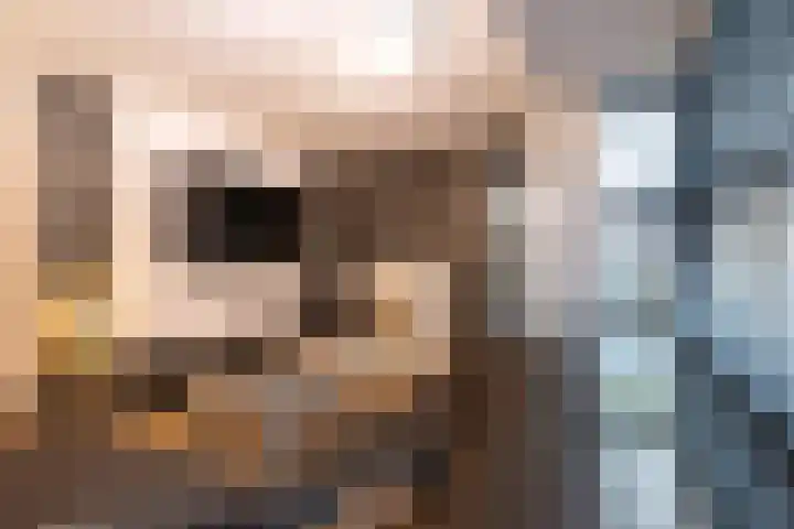 Wijningsstraat 4 Putte thumbnail 8