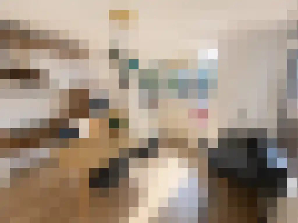 Wijnkade 28 Rotterdam thumbnail 4