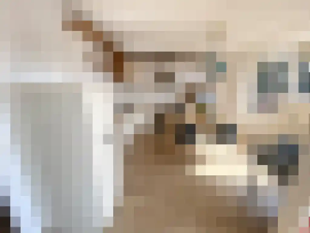 Wijnkade 28 Rotterdam thumbnail 5
