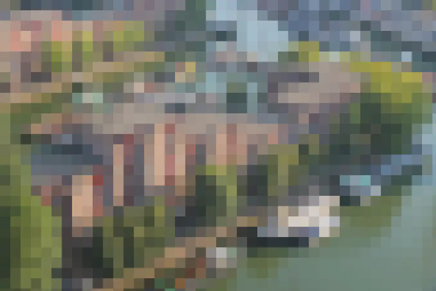 Wijnkade 40 Rotterdam thumbnail 25