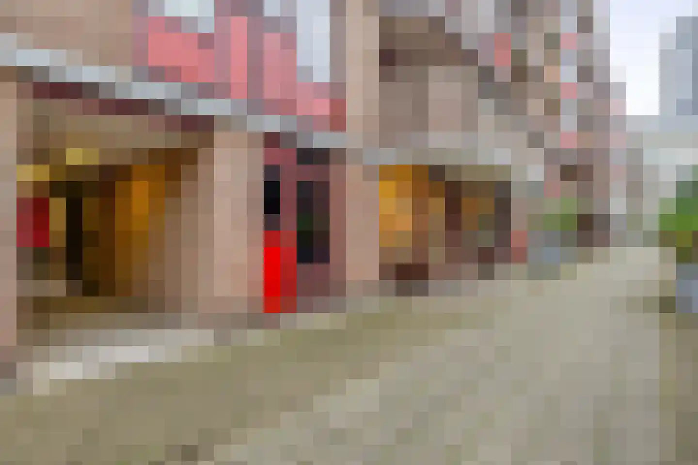 Wijnkade 40 Rotterdam thumbnail 6