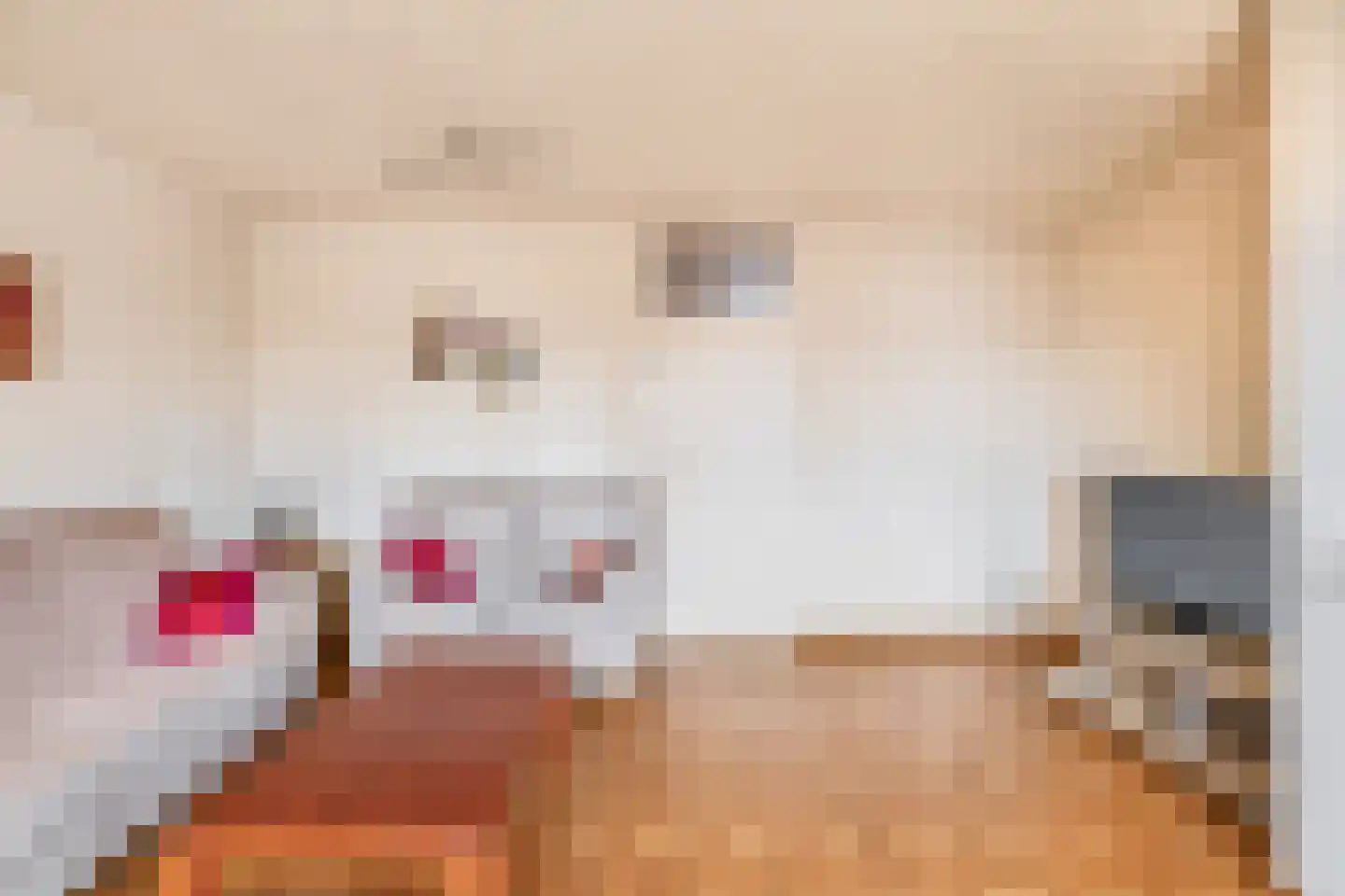 Wijnkade 40 Rotterdam thumbnail 9